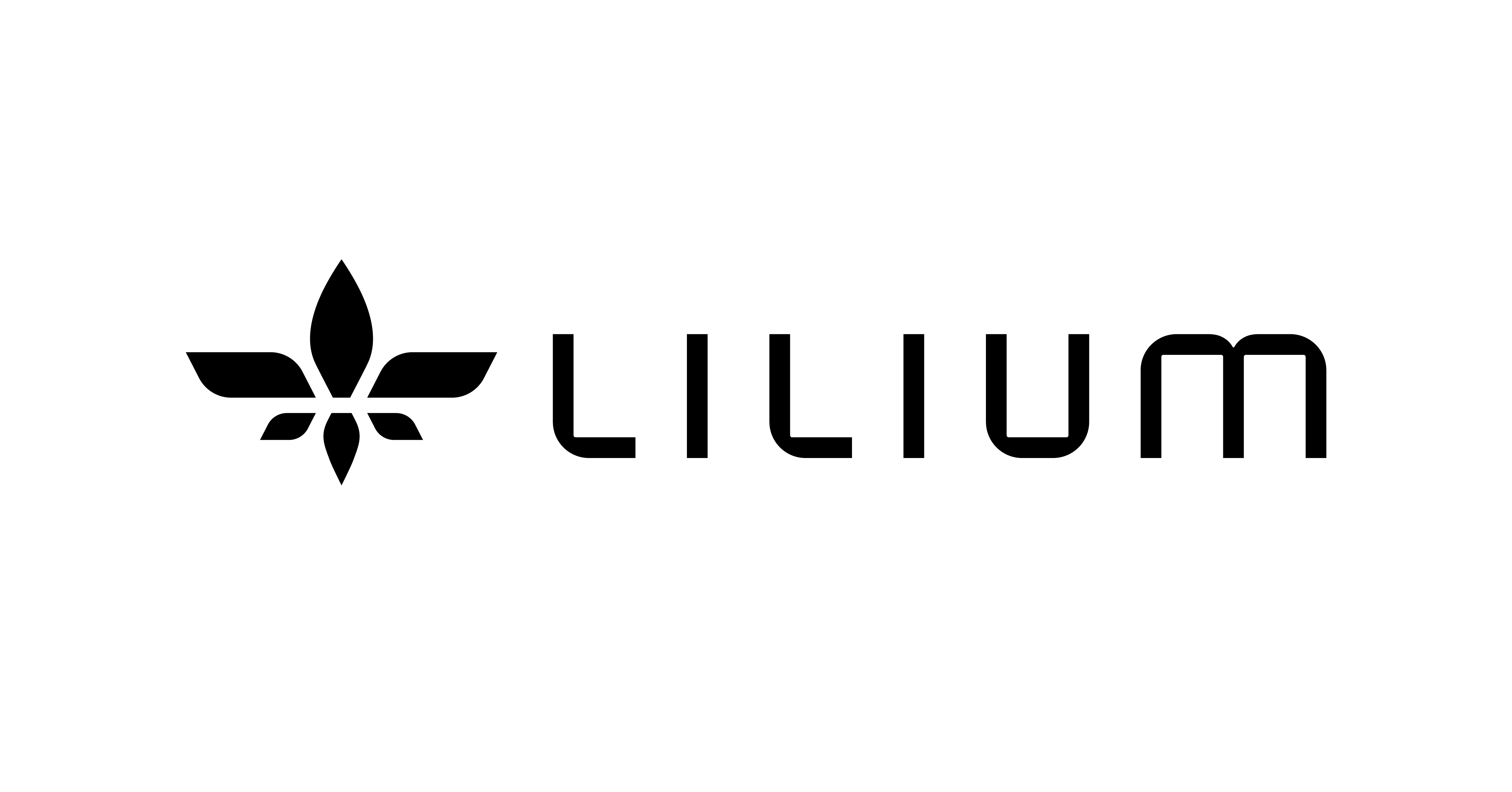 Job Application For Aircraft Mechanic At Lilium job-application-for-aircraft-mechanic-at-lilium