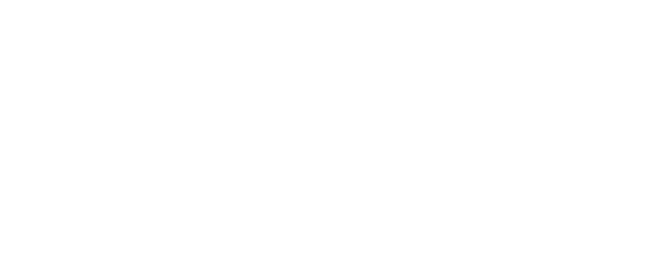 IE Logo