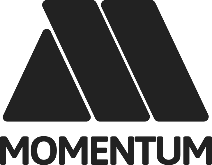 Momentum Solutions Egypt Logo